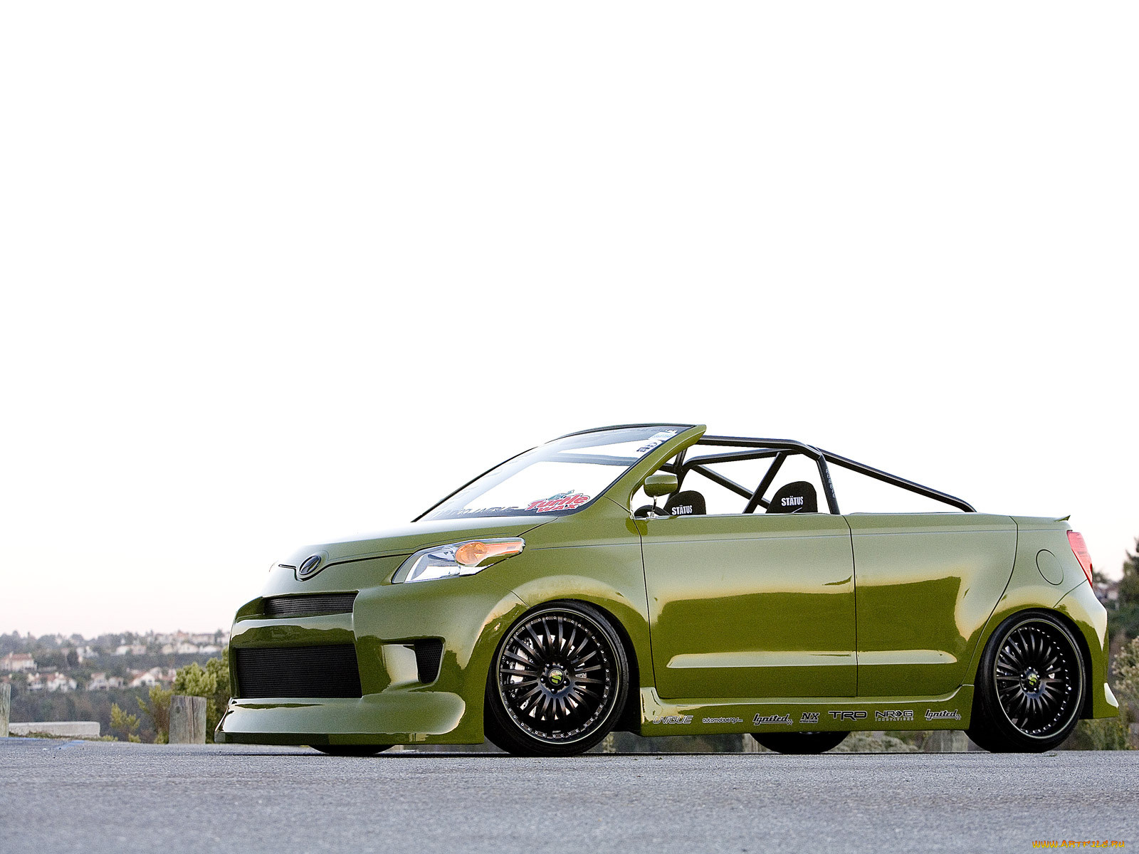 , scion